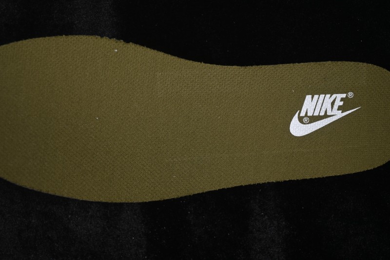 Nike SB Dunk Low Skateboarding Shoes with Cushioned Collar - II7078-001